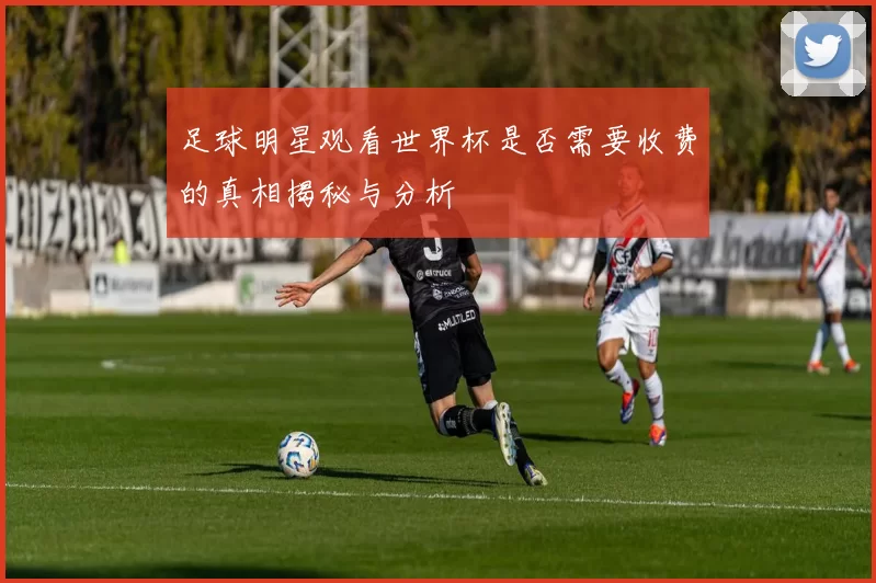 足球明星观看世界杯是否需要收费的真相揭秘与分析
