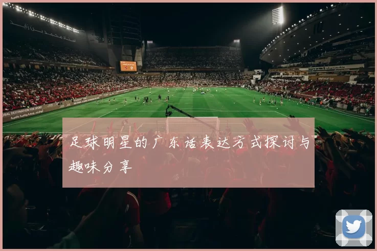 足球明星的广东话表达方式探讨与趣味分享