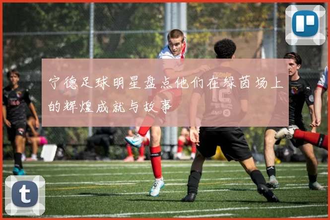宁德足球明星盘点他们在绿茵场上的辉煌成就与故事