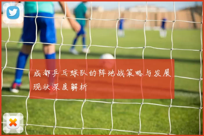成都乒乓球队的阵地战策略与发展现状深度解析
