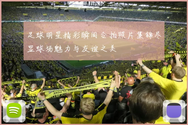 足球明星精彩瞬间合拍照片集锦尽显球场魅力与友谊之美