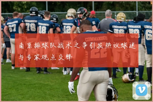 南京排球队战术之争引发热议球迷与专家观点交锋
