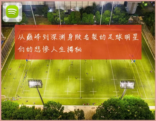 从巅峰到深渊身败名裂的足球明星们的悲惨人生揭秘