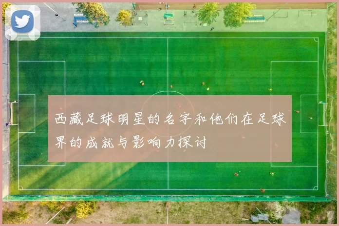西藏足球明星的名字和他们在足球界的成就与影响力探讨