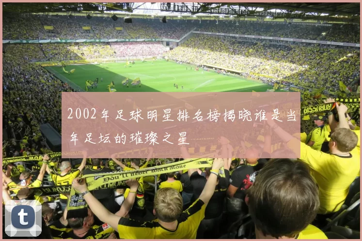2002年足球明星排名榜揭晓谁是当年足坛的璀璨之星