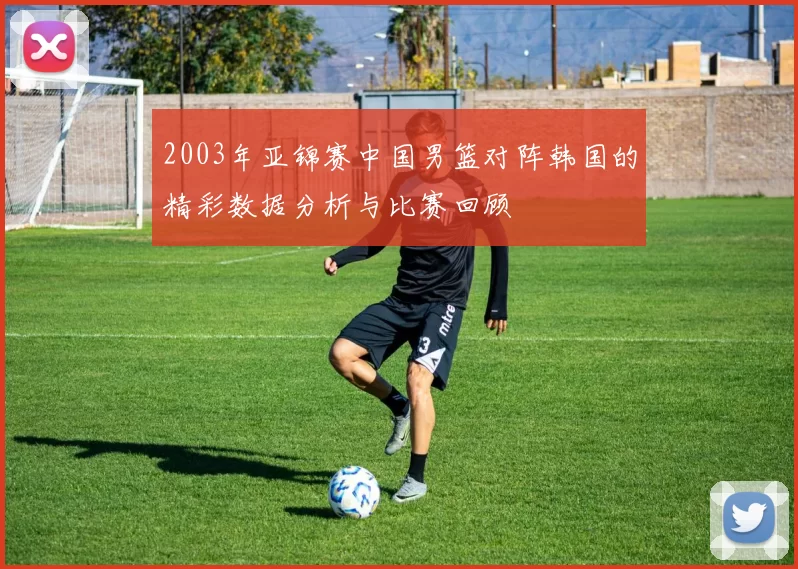 2003年亚锦赛中国男篮对阵韩国的精彩数据分析与比赛回顾