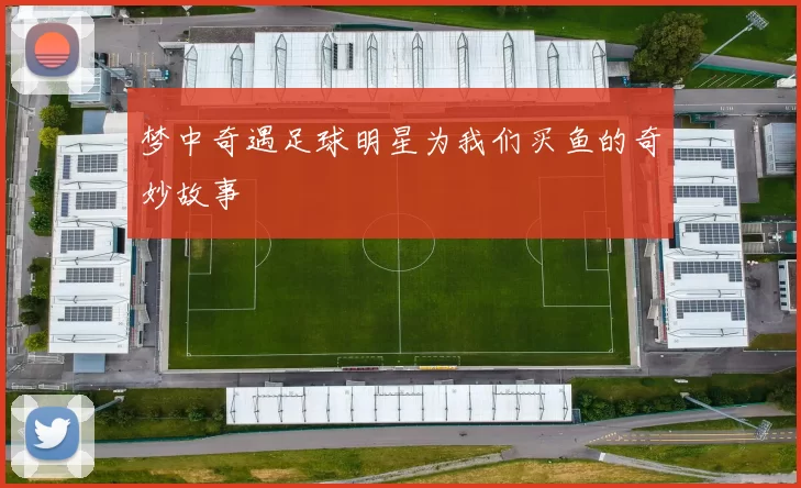 梦中奇遇足球明星为我们买鱼的奇妙故事