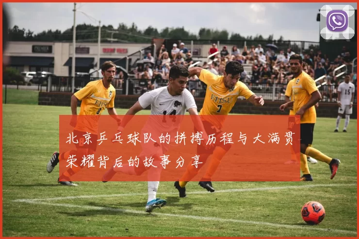 北京乒乓球队的拼搏历程与大满贯荣耀背后的故事分享
