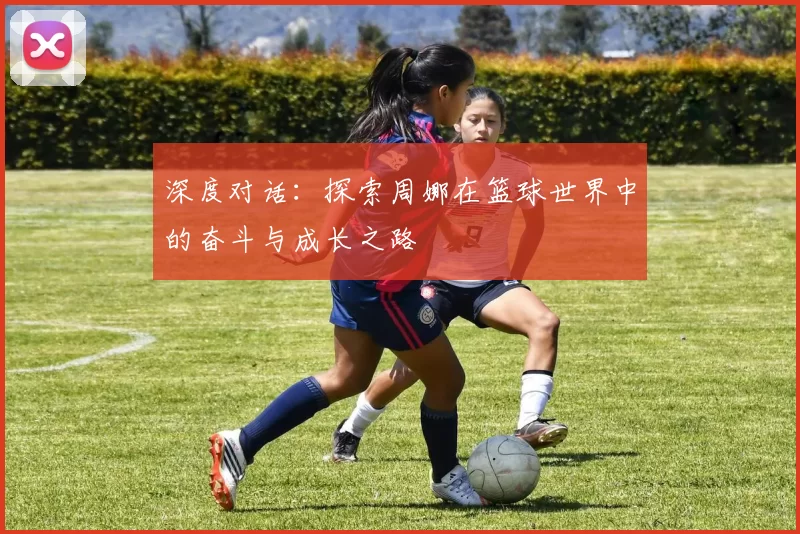 深度对话：探索周娜在篮球世界中的奋斗与成长之路