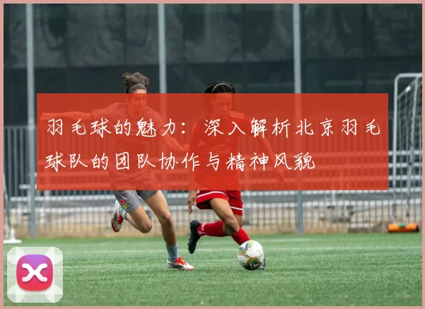 羽毛球的魅力：深入解析北京羽毛球队的团队协作与精神风貌